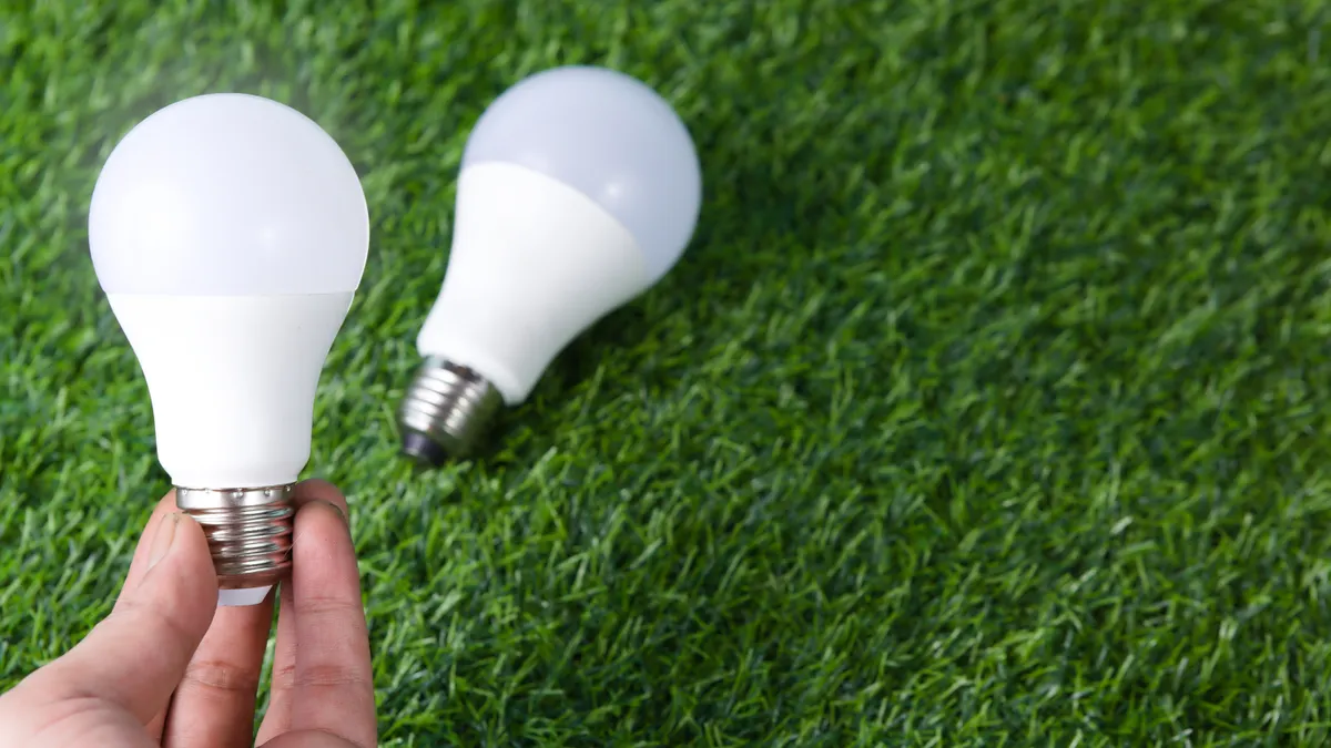 Hand holding a light bulb on grass